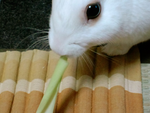 f0201191_1857187.jpg
