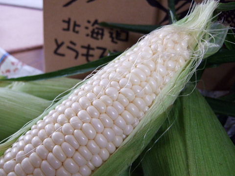 b0104592_19562477.jpg