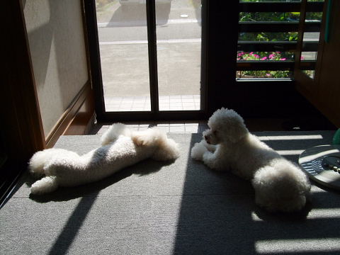 b0104592_2011787.jpg