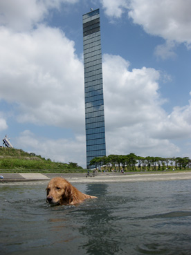 c0096393_22233242.jpg