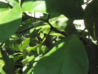 f0130894_19333454.jpg