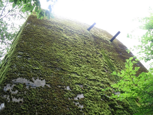 f0129897_751521.jpg