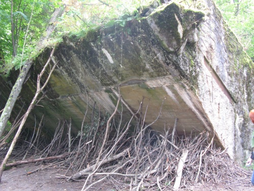 f0129897_8115134.jpg