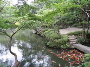 c0172698_2048815.jpg