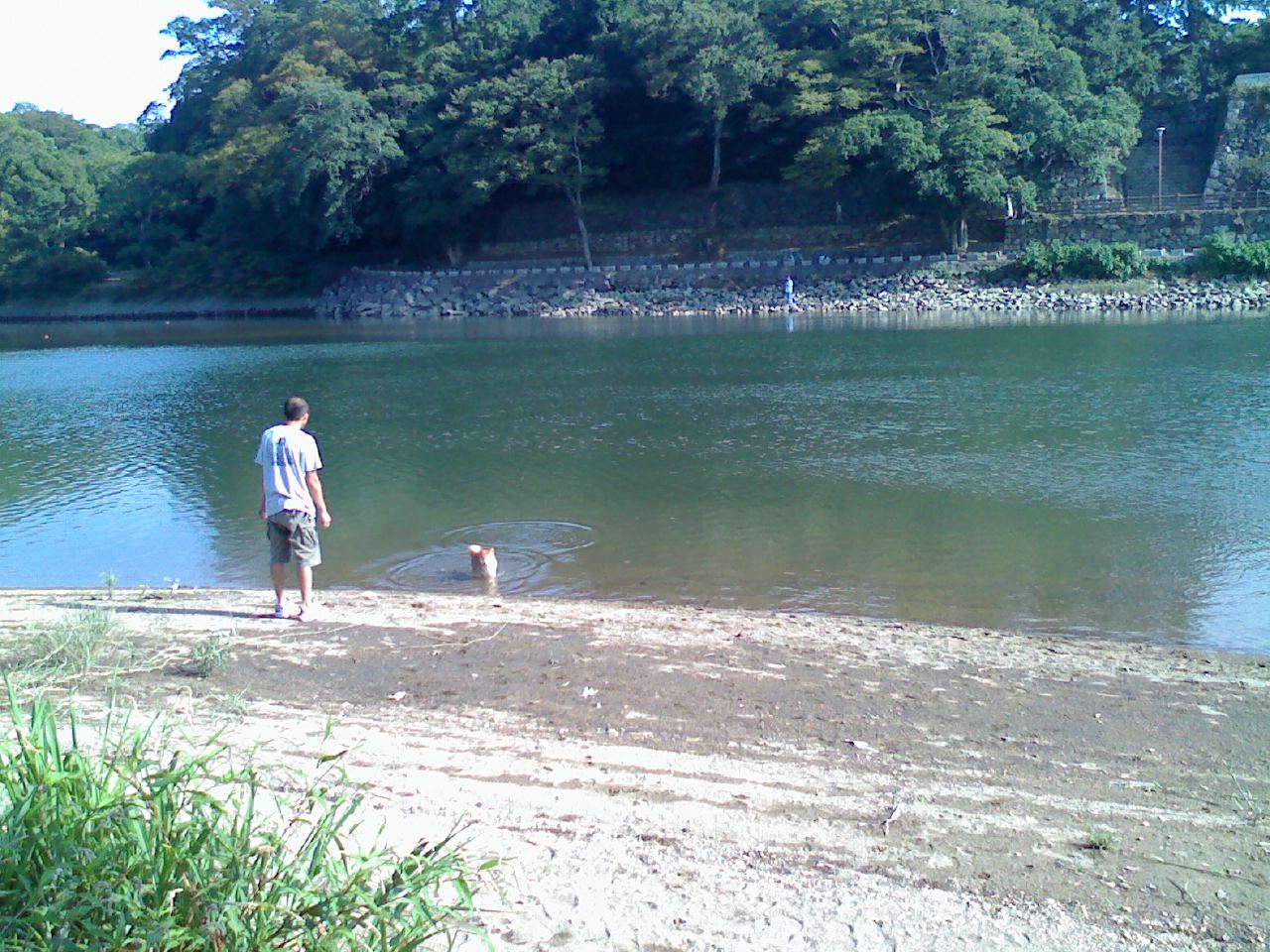 a0133999_21452139.jpg