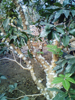 b0028299_20542678.jpg