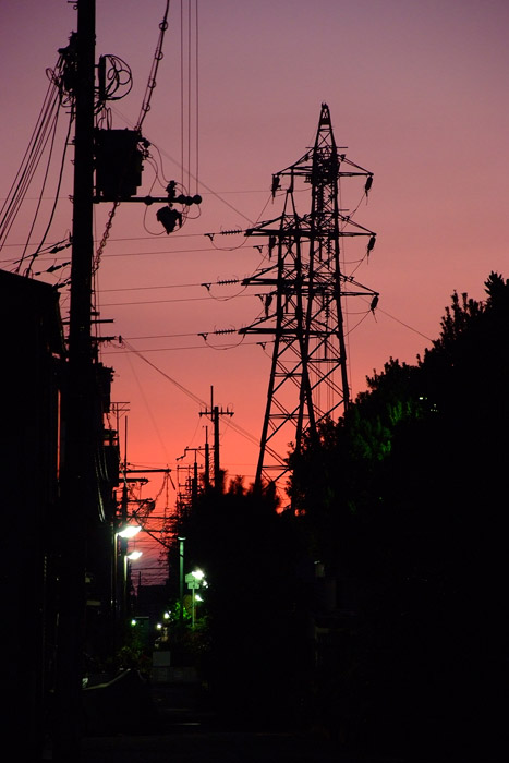 c0035399_21593253.jpg