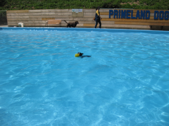 d0070702_23281986.jpg