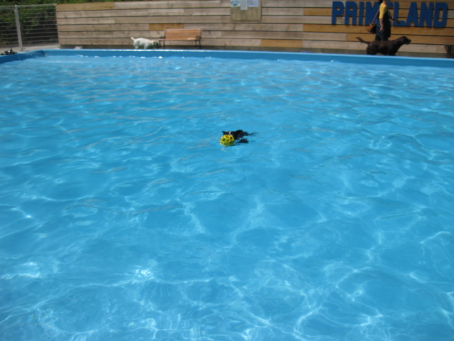 d0070702_23283524.jpg