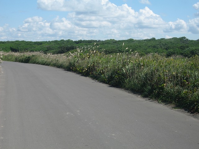 f0202703_20104292.jpg