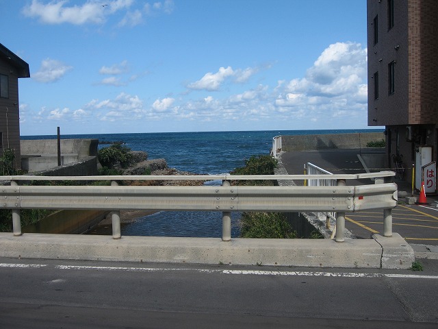 f0202703_209316.jpg