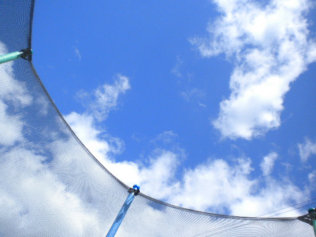 e0160905_6511629.jpg
