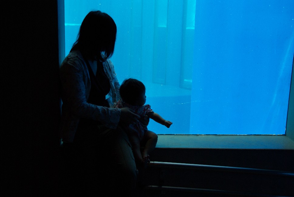 f0201607_7444367.jpg