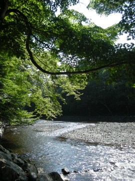 c0145209_23361927.jpg