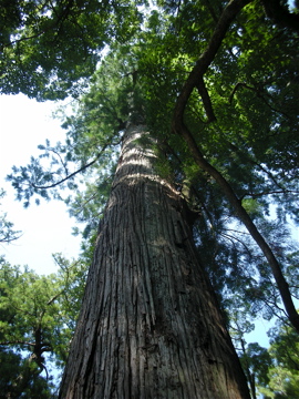 c0145209_2342544.jpg