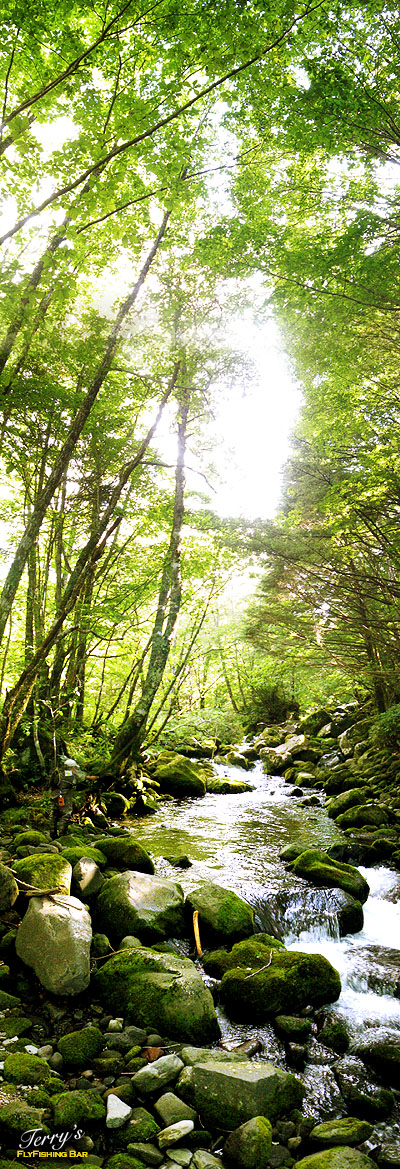 e0009009_0185850.jpg