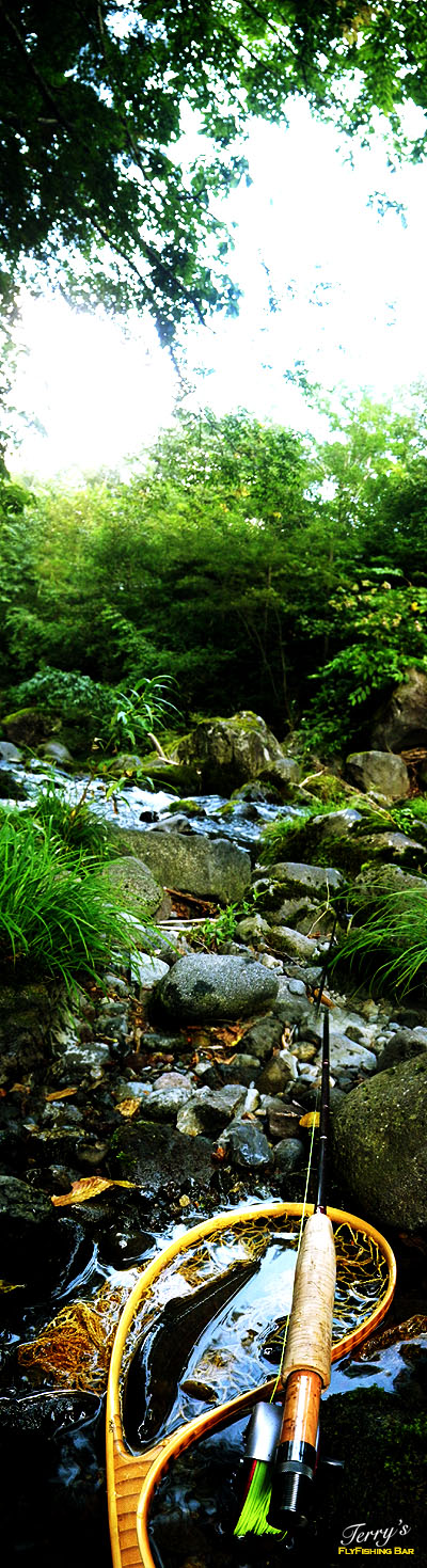 e0009009_0242232.jpg
