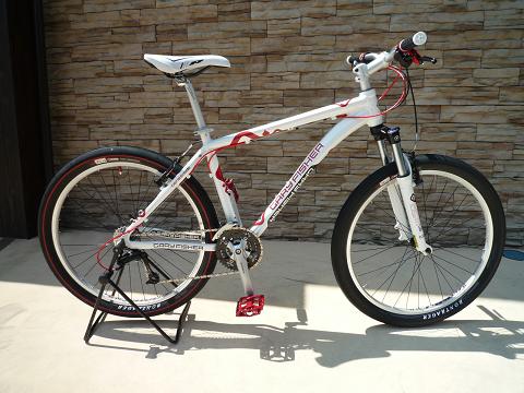 f0111015_1516924.jpg