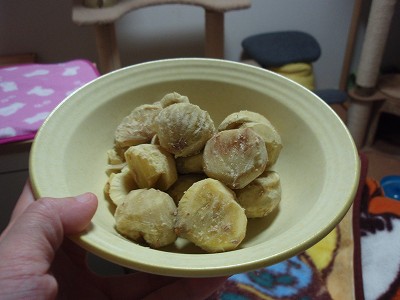 c0145016_2151467.jpg