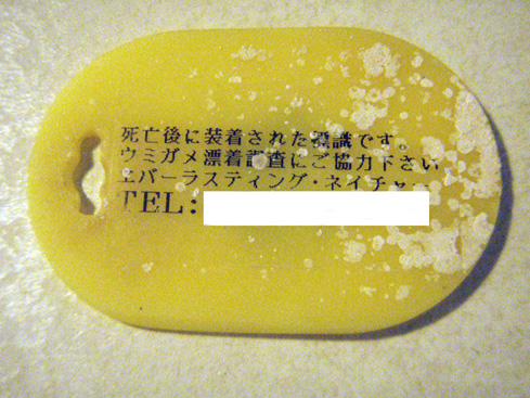 b0117718_14382896.jpg