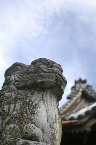 d0129922_8162614.jpg