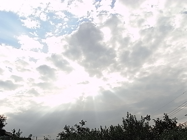 e0130722_1937051.jpg