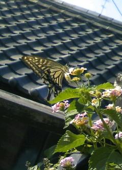 e0094325_15303784.jpg