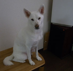 a0117039_014140.jpg