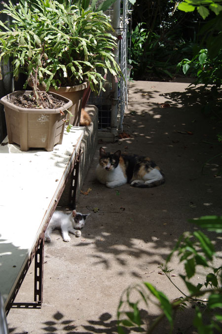 f0149442_285554.jpg