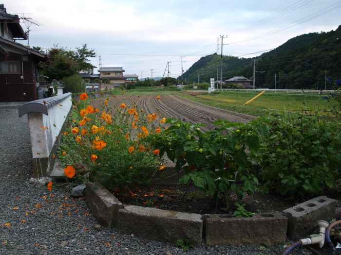 c0072843_185999.jpg