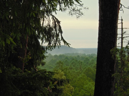 c0193950_16353149.jpg