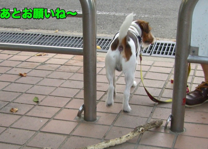 f0077150_8563862.jpg