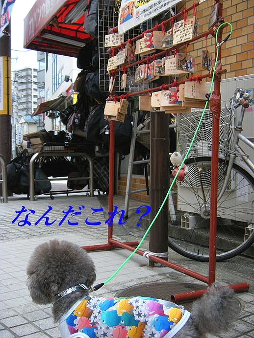 e0129656_21204970.jpg