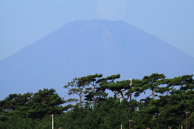 f0044056_1085974.jpg