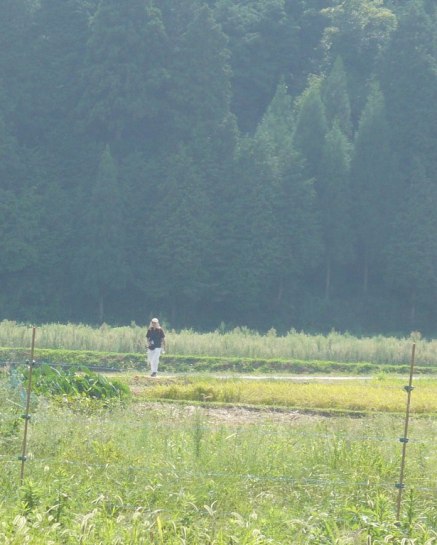 a0063364_23255100.jpg