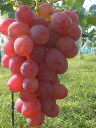 d0136664_9181880.jpg
