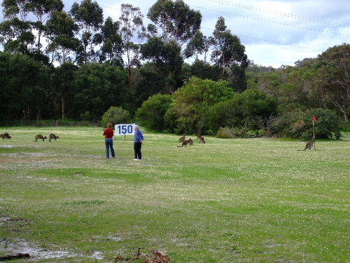 b0085766_17355089.jpg