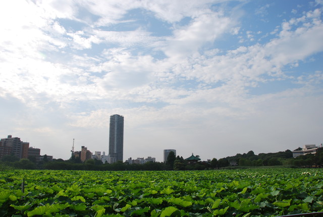 b0174068_0213461.jpg