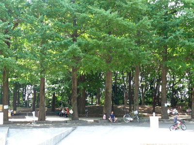 f0086169_21334785.jpg