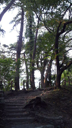 c0127670_10124375.jpg