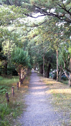 c0127670_1016478.jpg
