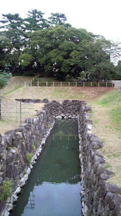 c0127670_1025477.jpg