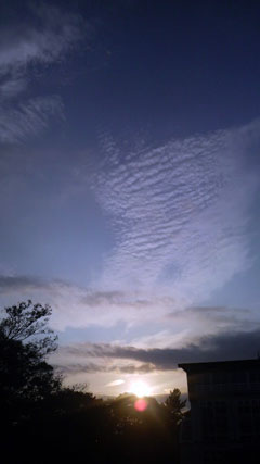 c0127670_10274835.jpg