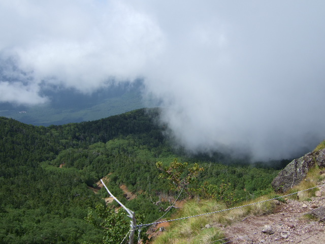 a0094280_214494.jpg