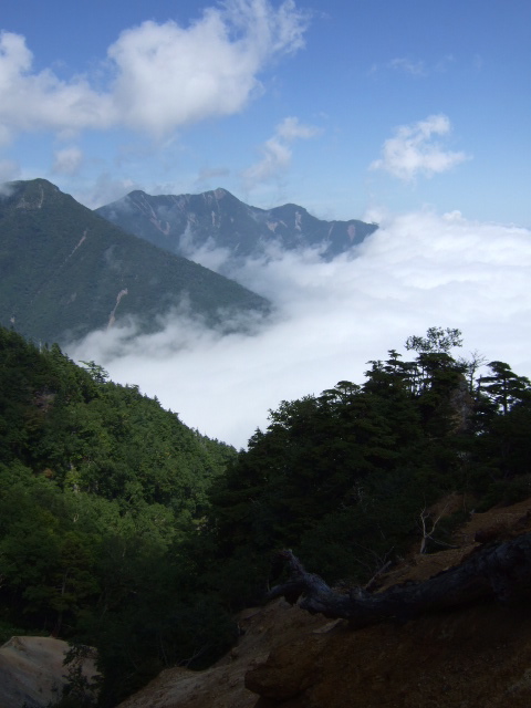 a0094280_21496.jpg