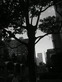 f0100480_21504044.jpg