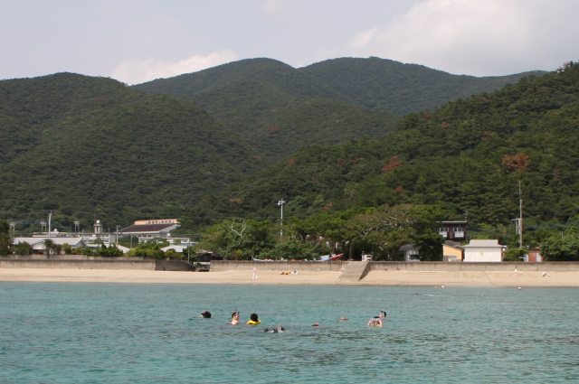 b0115085_78348.jpg