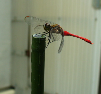 e0026586_14575041.jpg