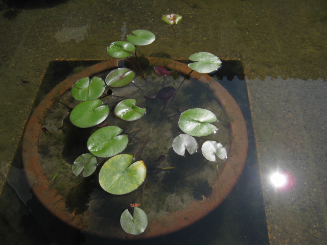 c0103090_20592434.jpg