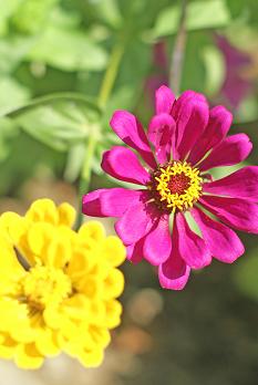 a0091891_083640.jpg